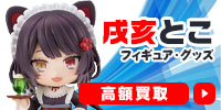 戌亥とこ
